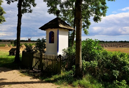 W KONKURSIE FOTOGRAFICZNYM im. ZBIGNIEWA ZASADY