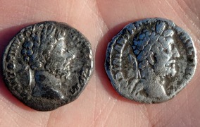 Srebrne denary rzymskie z II w. n.e. a więc mają ponad 1800 lat i tak ładnie zachowały się w ziemi. Po lewej denar z popiersiem cesarza Marka Aureliusza, po prawej jego syna i następcy cesarza Kommodusa.