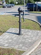Ręczna pompa wodna tak zwana abisynka. Znajduje się w Radziejowie w miejscu dawnej studni przy dzisiejszej ulicy Niskiej, a dawniej w 1820r. było to miejsce między ulicami Ogrodową a Stodolną.