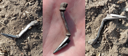 Srebrna fibula (zapinka do szat - pełniła także funkcje ozdobne) z okresu wpływów rzymskich, którą można datować na 2 poł. II w. lub 1 poł. III w. n.e.
