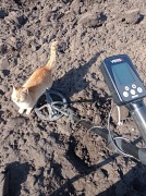 Koci pomocnik w poszukiwaniach.